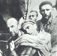 Fraternité de Max Segonne